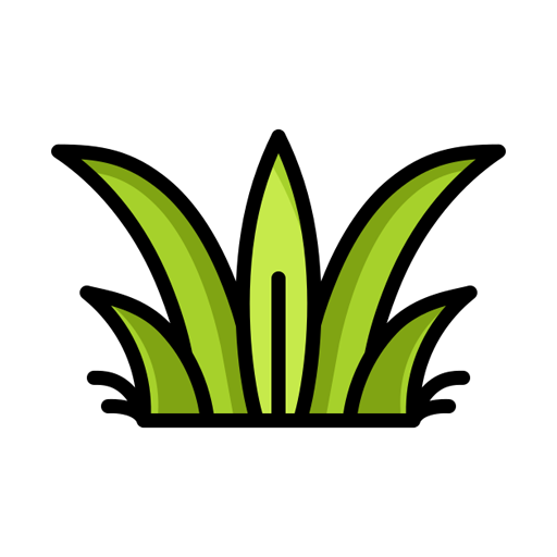FODDER SEEDS