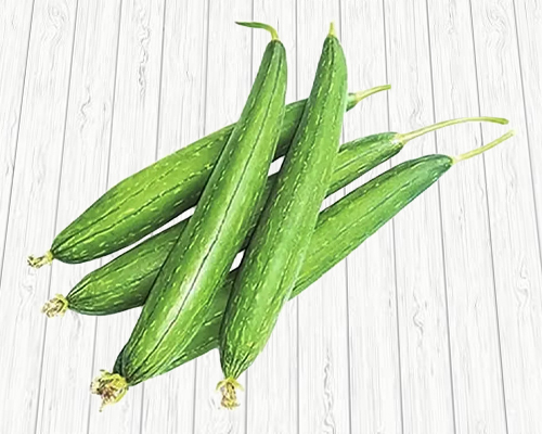Sponge Gourd